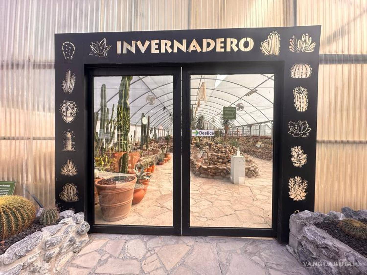 $!Invernaderos del Mude preparados para resguardar flora durante el invierno.