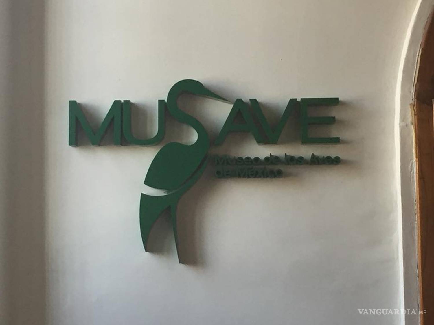 $!Empresa 'balconea' remodelación del Museo de las Aves