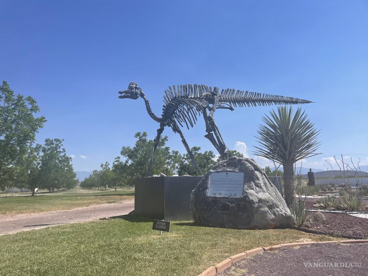 $!El Velafrons Coahuilensis es el anfitrión de Hacienda Florida, una de las paradas obligatorias en la Ruta Vinos &amp; Dinos de Coahuila.