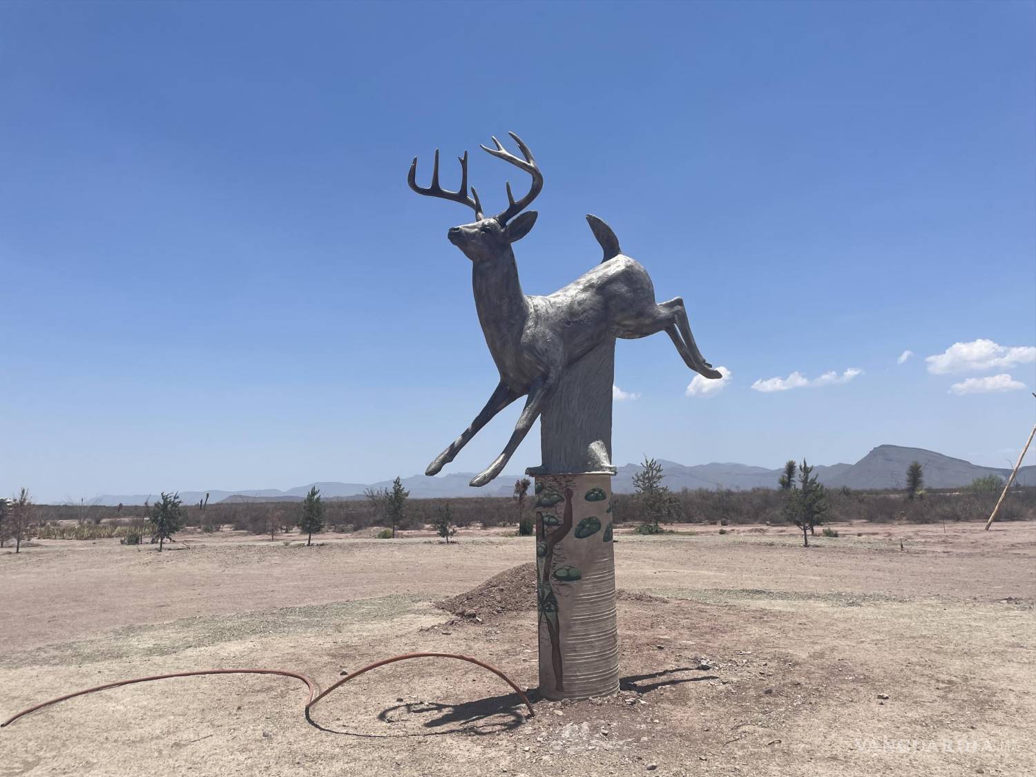 $!El venado es uno de los animales místicos que protegen a Bodega Amonites.