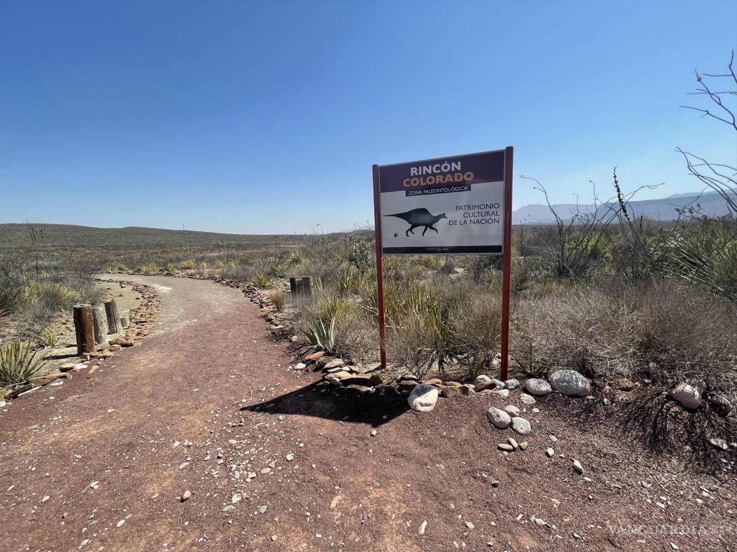 $!General Cepeda es el hogar del Velafrons Coahuilensis, el fósil de dinosaurio más completo hallado en México.