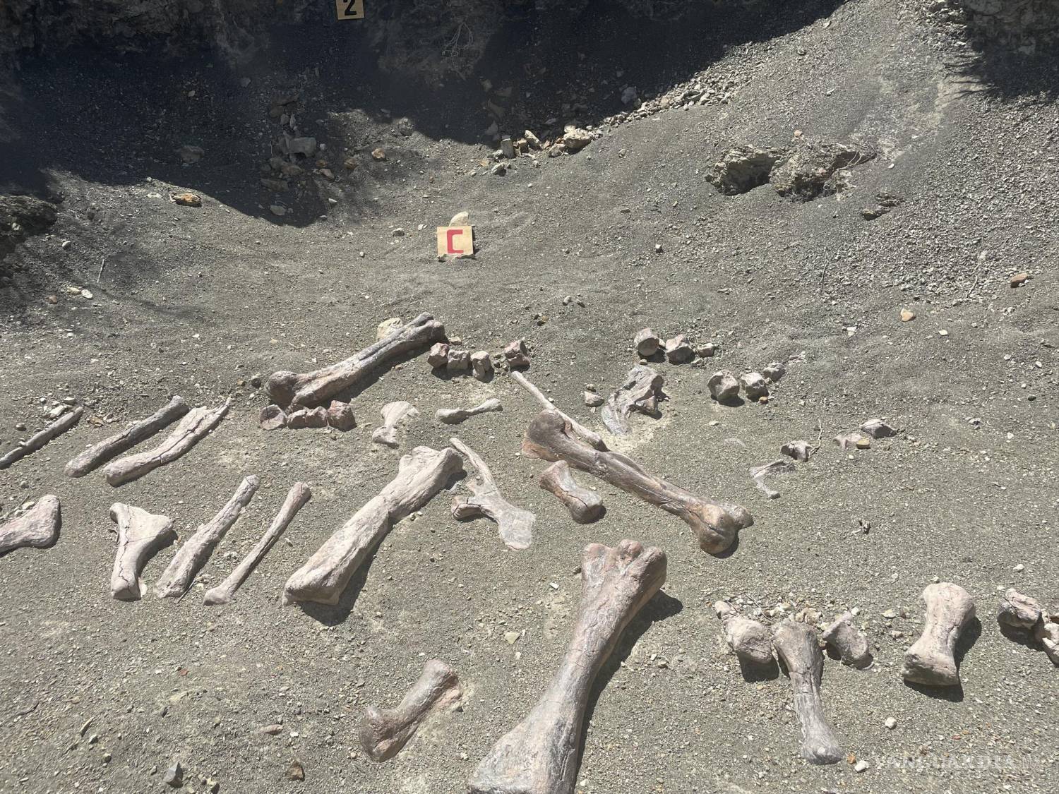 $!Rincón Colorado es el primer sitio paleontológico del país adaptado para visitas públicas.