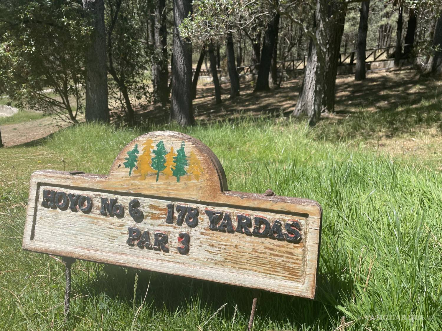 $!De acuerdo con los apasionados del golf, jugar en este campo tiene un 15% más de dificultad.