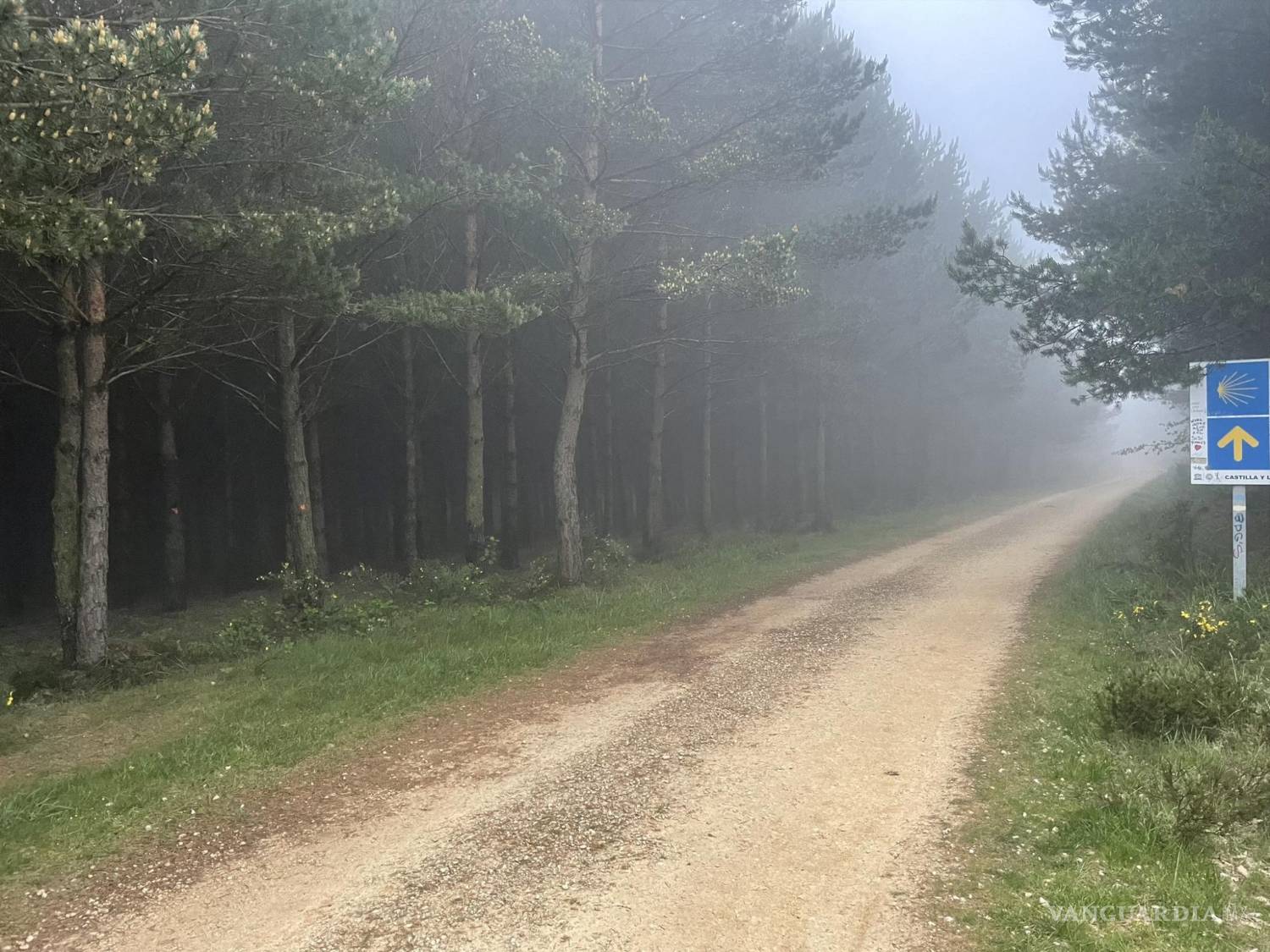 $!Don Paco, el saltillense de corazón que cumplió su sueño en el Camino de Santiago