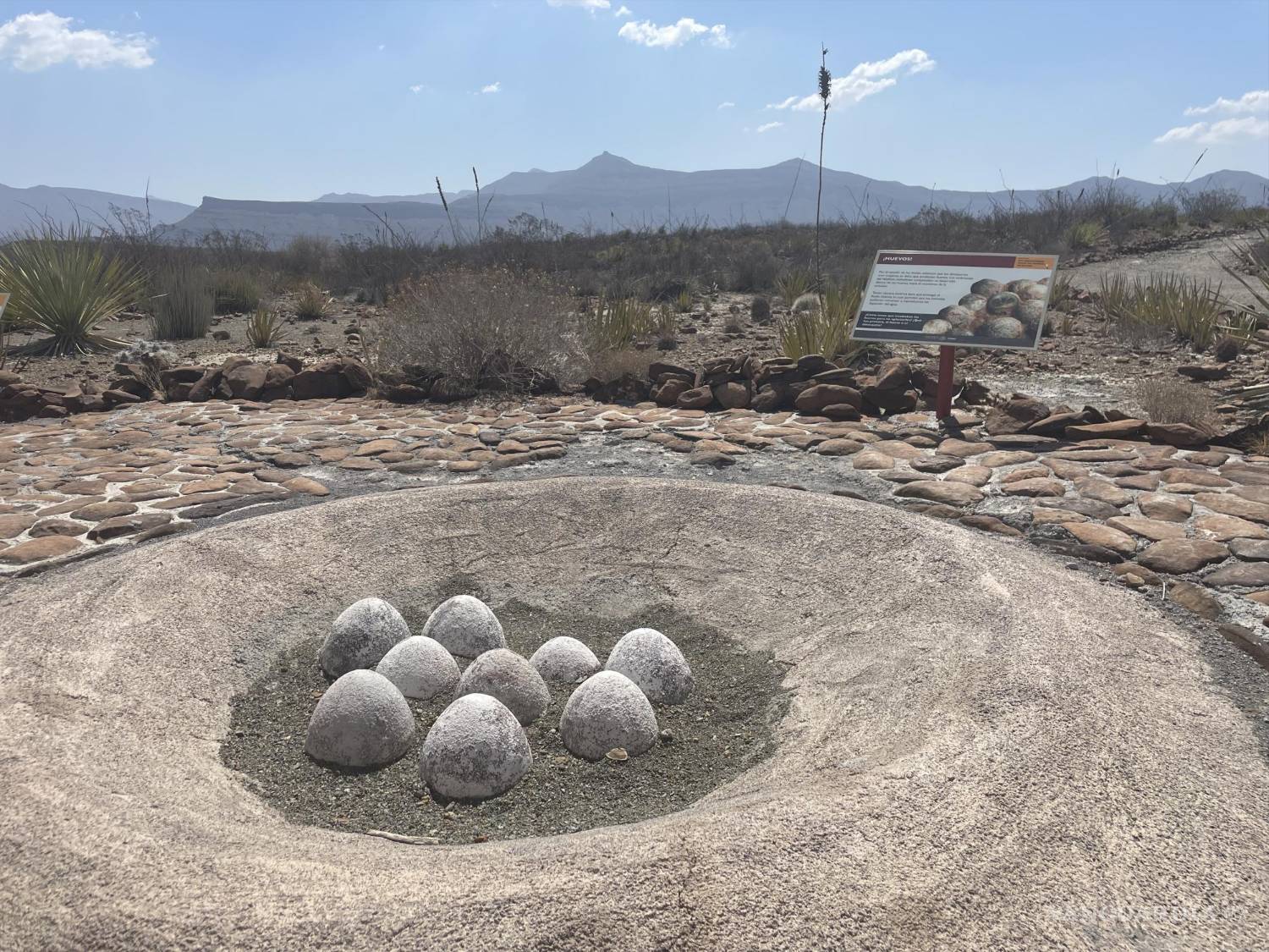 $!La zona también cuenta con un museo en donde se puede conocer de cerca el trabajo de los paleontólogos.