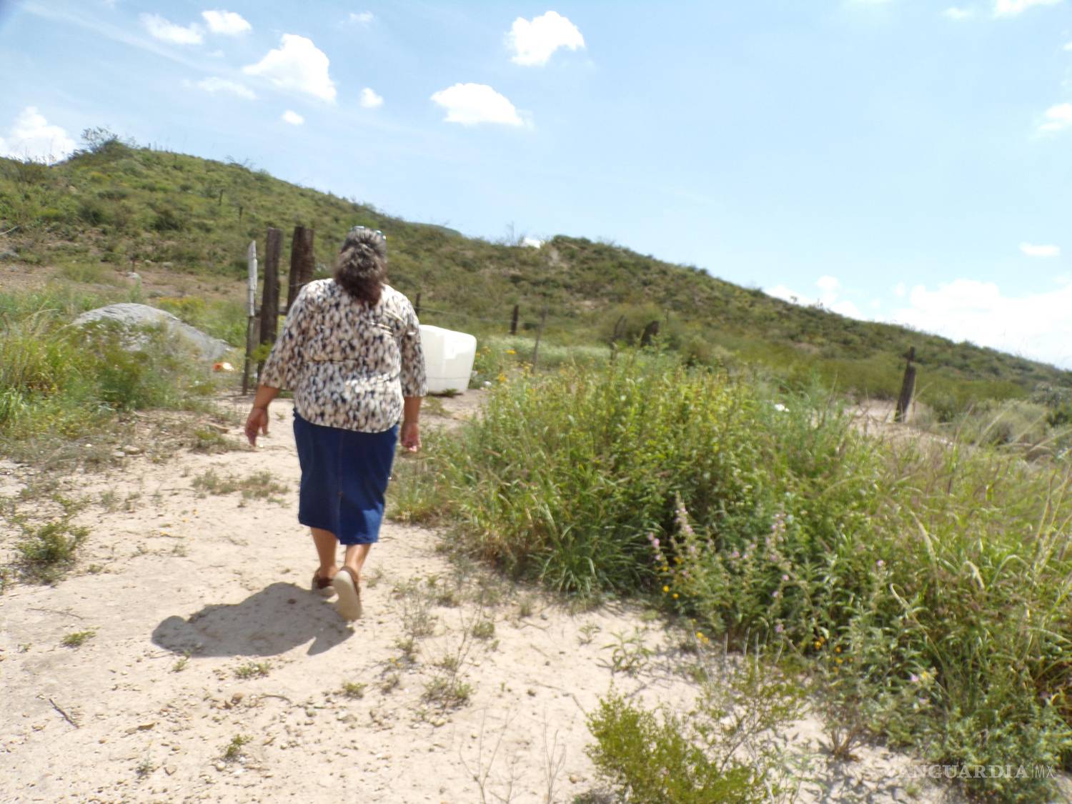 $!El arroyo es ahora refugio de fauna peligrosa como víboras de cascabel y gatos monteses.