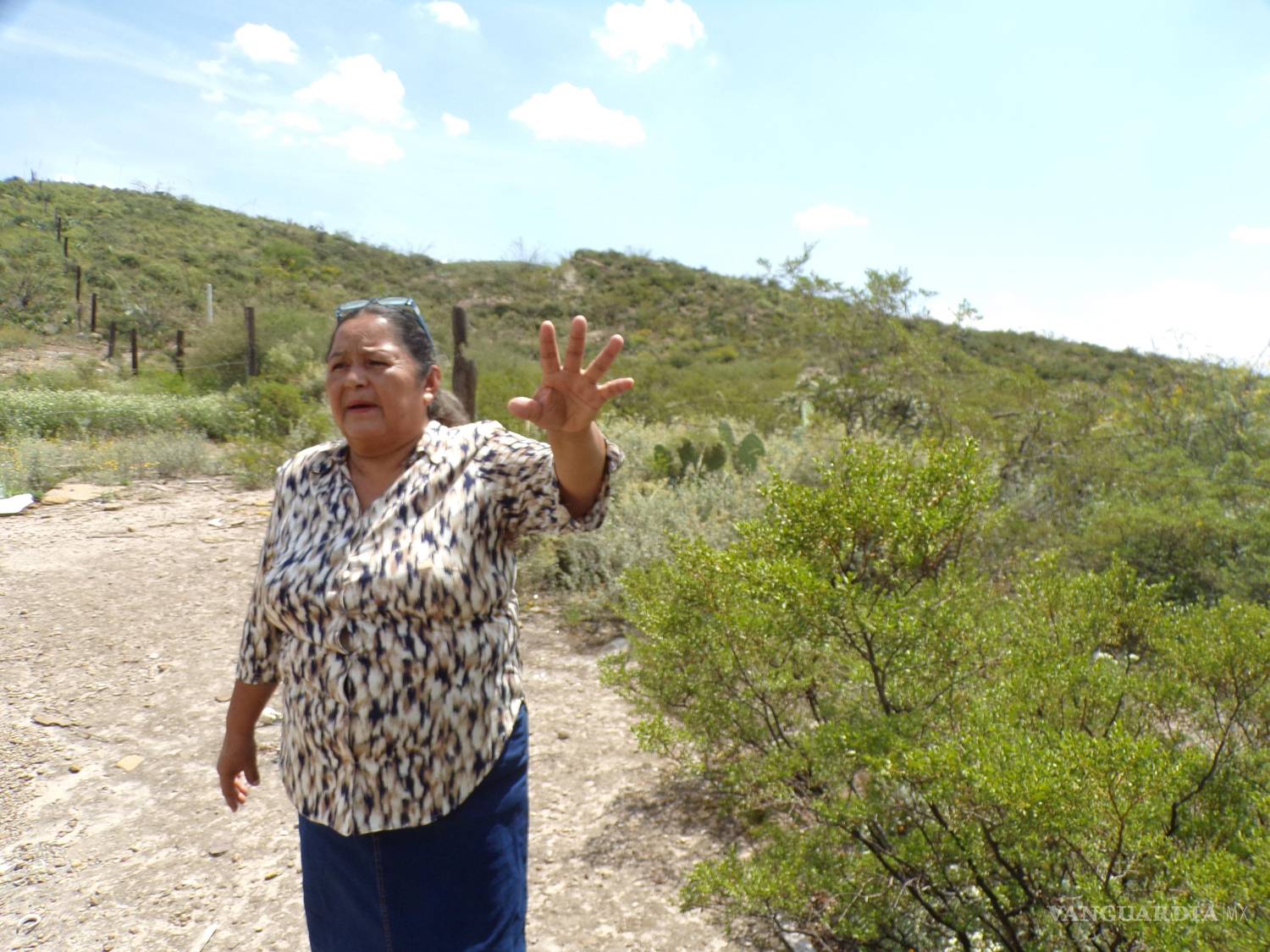 $!El arroyo de Flores, lleno de basura y maleza, se desborda cada temporada de lluvias e invade las calles de la colonia Puerto de Flores.