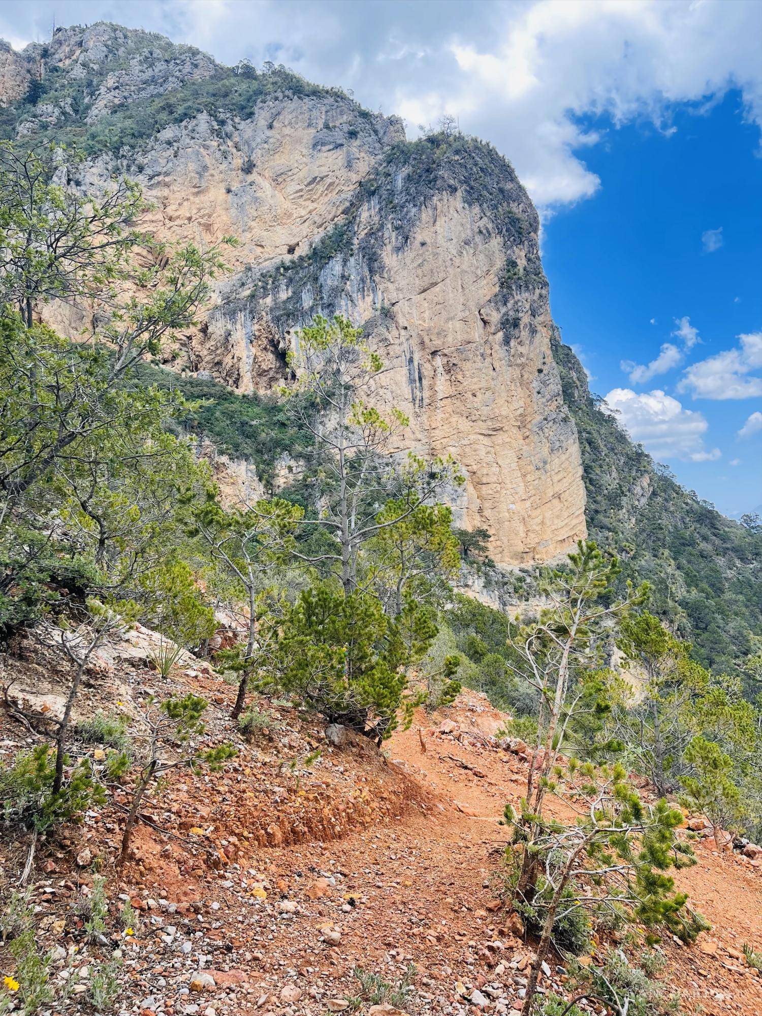 $!En El Musgo, este sendero nos recuerda que el recorrido es la mejor parte del viaje.