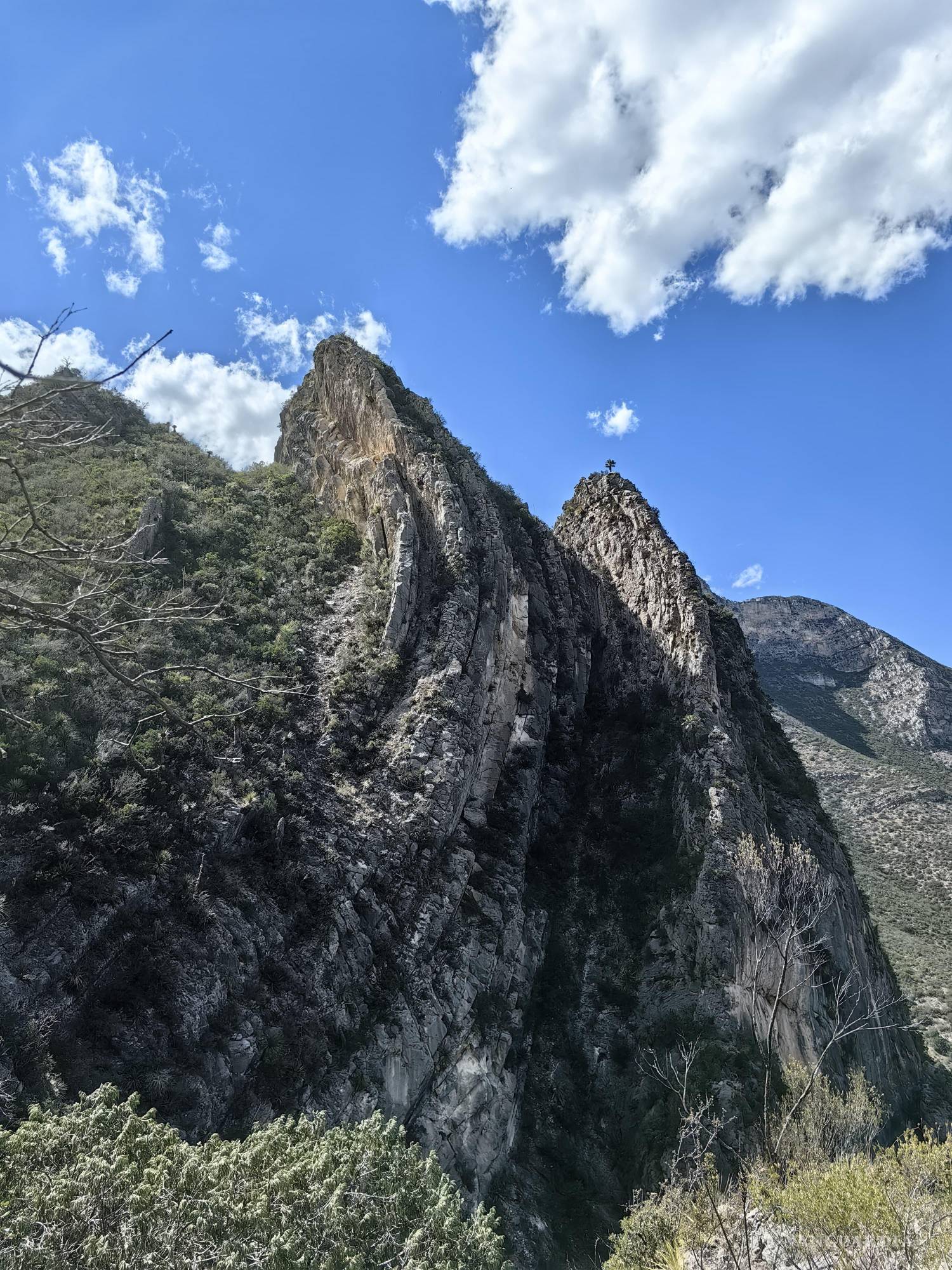 $!Cada expedición en la montaña debe contar con una ruta establecida, un equipo preparado y protocolos de seguridad.