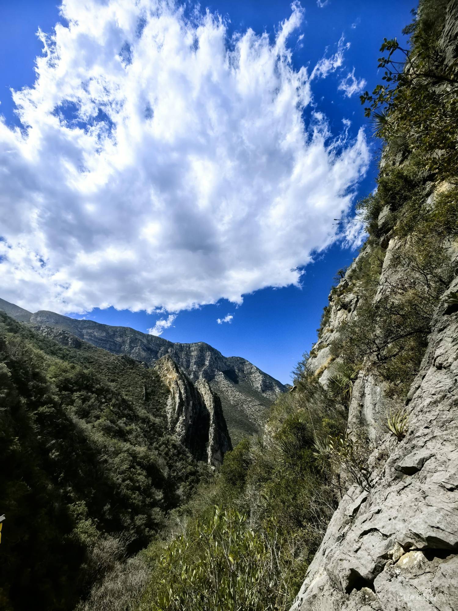 $!Antes de aventurarte en la montaña, consulta con expertos y lleva el equipo adecuado para minimizar riesgos.