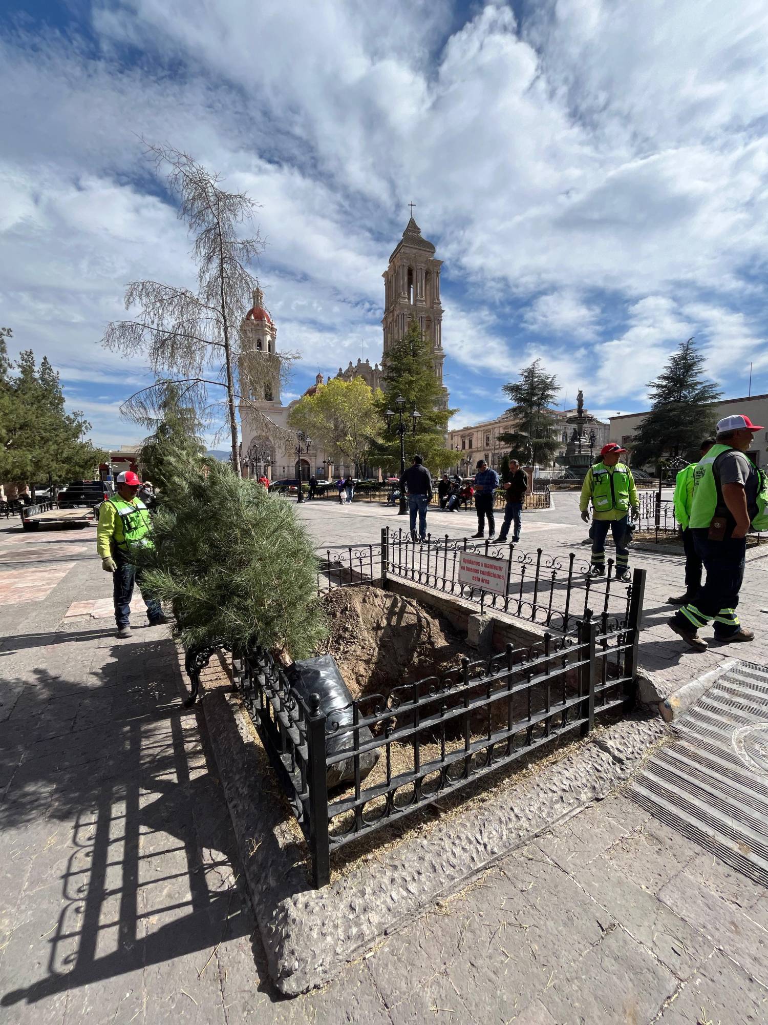 $!Autoridades municipales señalaron que los árboles retirados estaban enfermos y representaban un riesgo para los transeúntes.