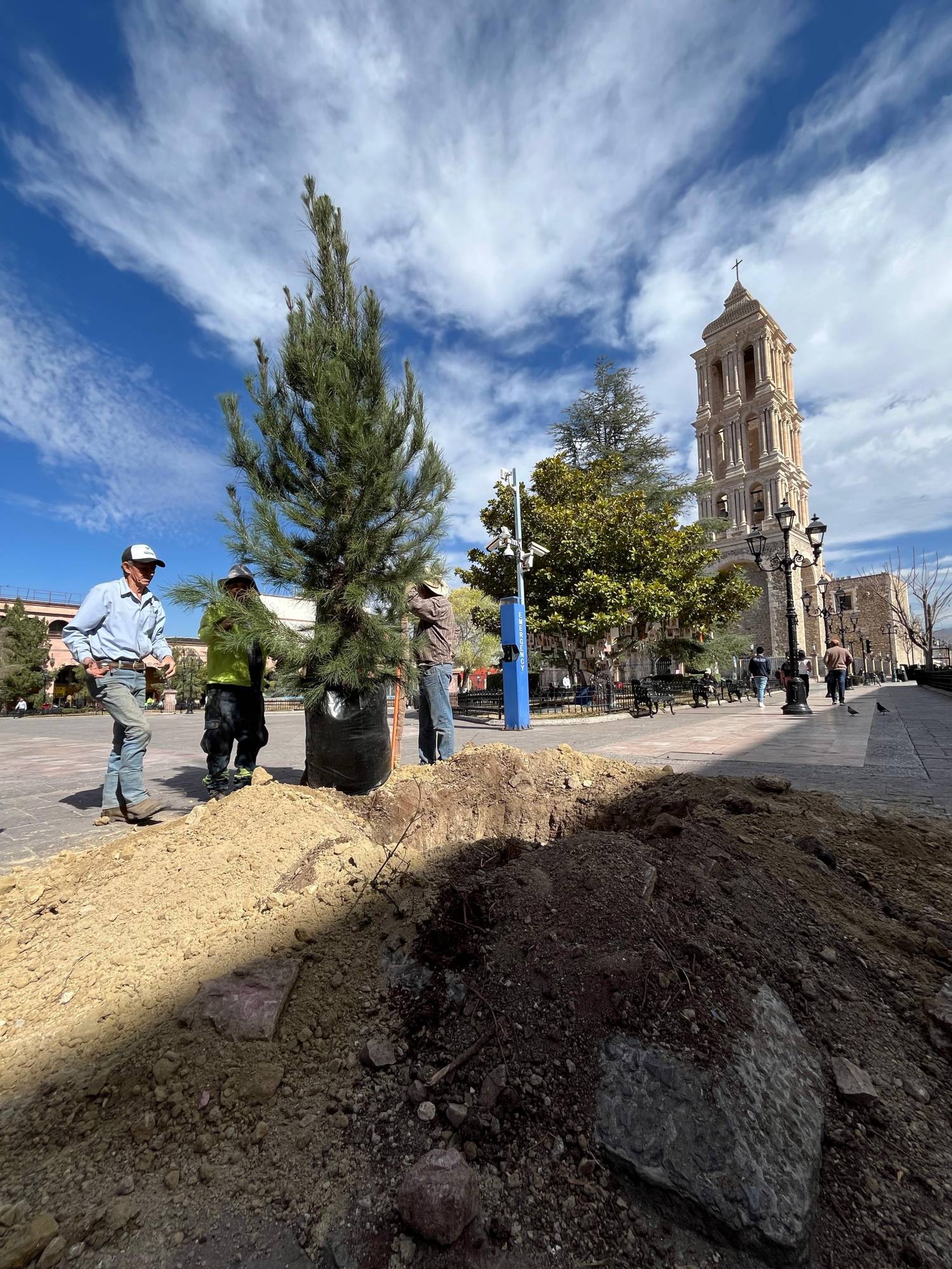 $!En redes sociales se difundió la versión de que uno de los árboles talados pertenecía al memorial de personas desaparecidas; sin embargo, este no fue alterado (se puede ver al fondo).