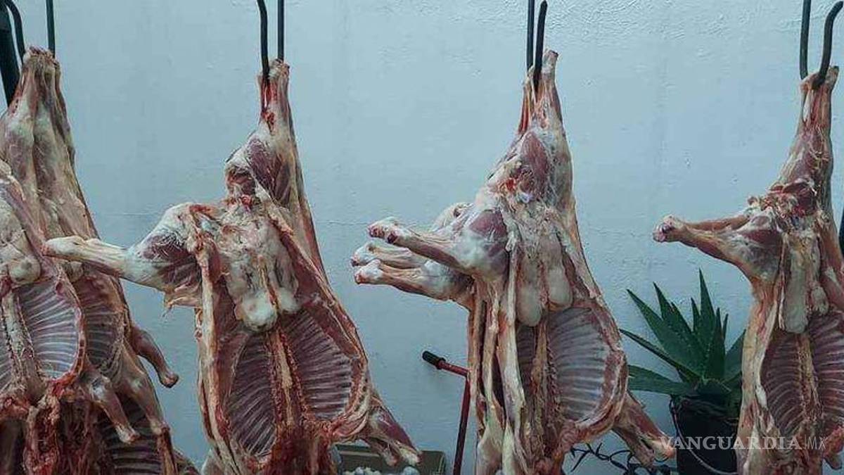 Venta de cabritos destapa mataderos clandestinos en Saltillo