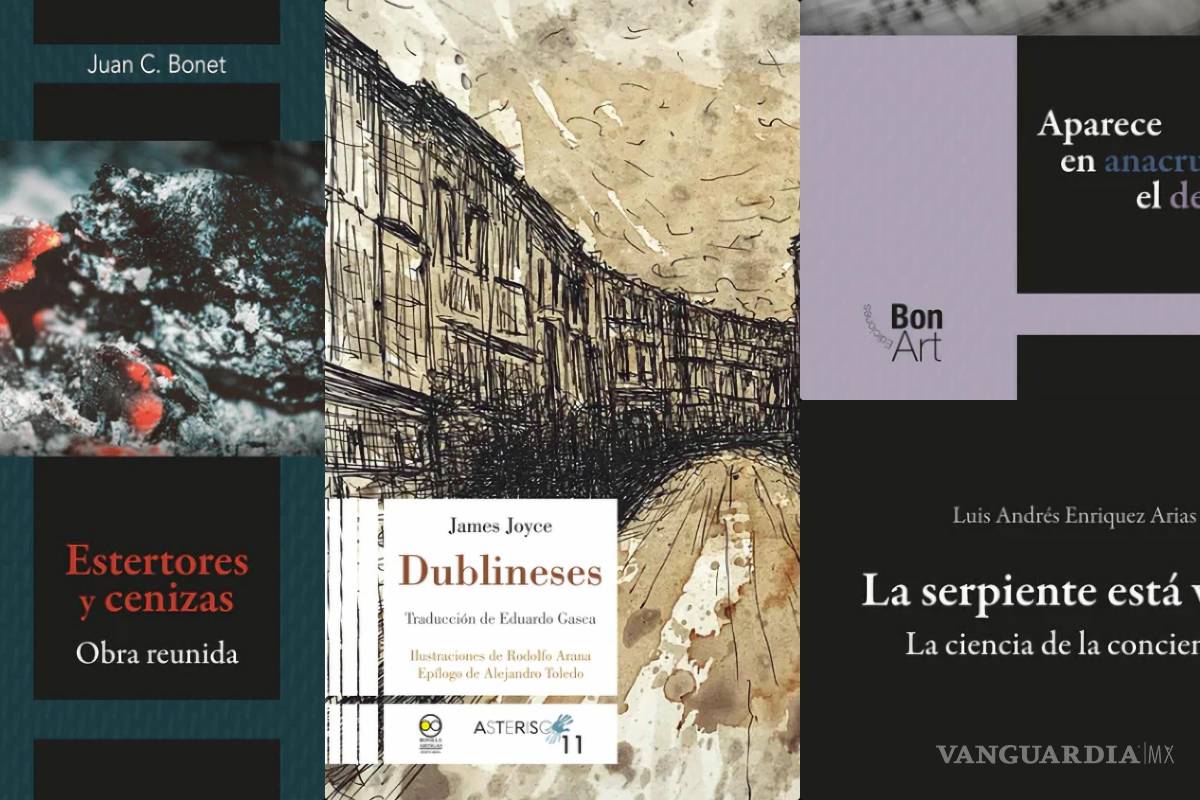 ¿Te gusta leer? Estos 4 libros atraparán tu atención