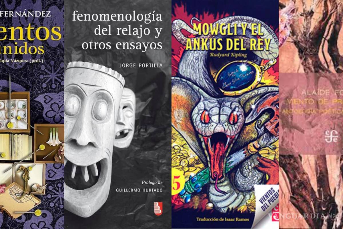 ¿Te gusta leer? Estos cuatro libros atraparán tu atención