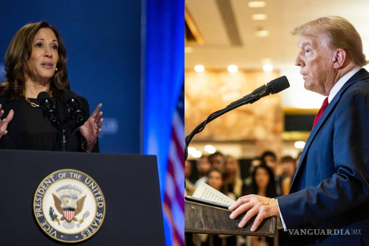 ¿Qué proponen Trump y Harris en relación con la inmigración y la política fronteriza?