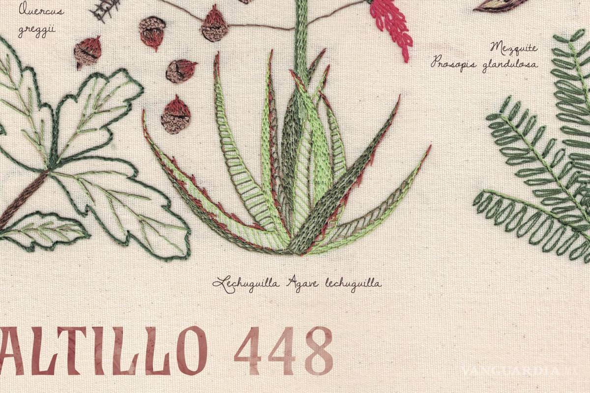 Las plantas nativas de Saltillo ilustran el póster (tejido) del aniversario 448 de la ciudad