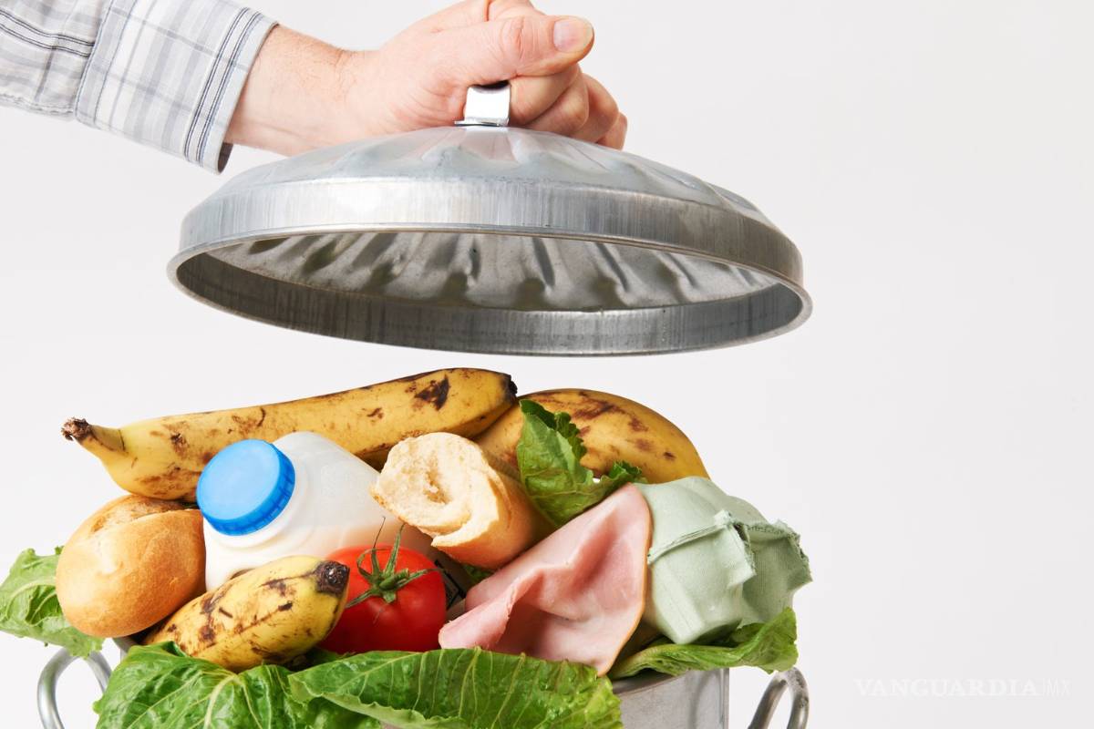 A la basura, 17% de alimentos; advierte la ONU
