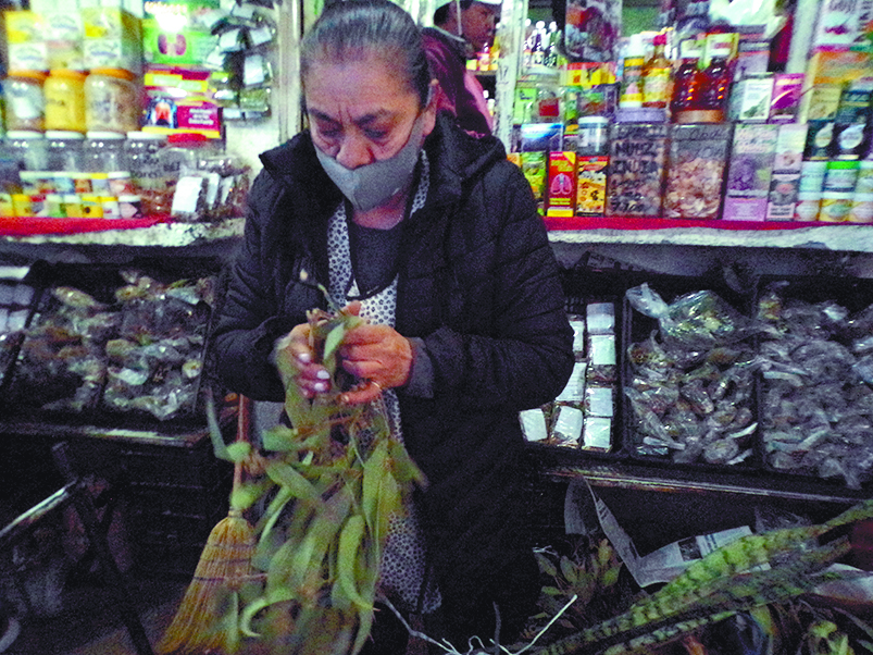 $!Eucalipto, jengibre, gordolobo: la herbolaria contra el COVID