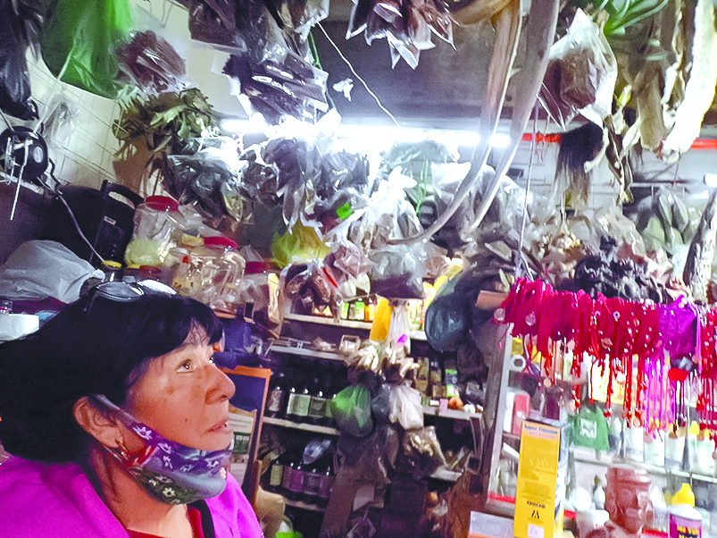 $!Eucalipto, jengibre, gordolobo: la herbolaria contra el COVID