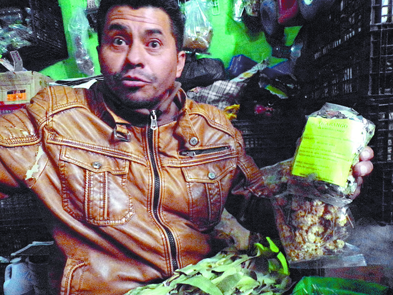 $!Eucalipto, jengibre, gordolobo: la herbolaria contra el COVID