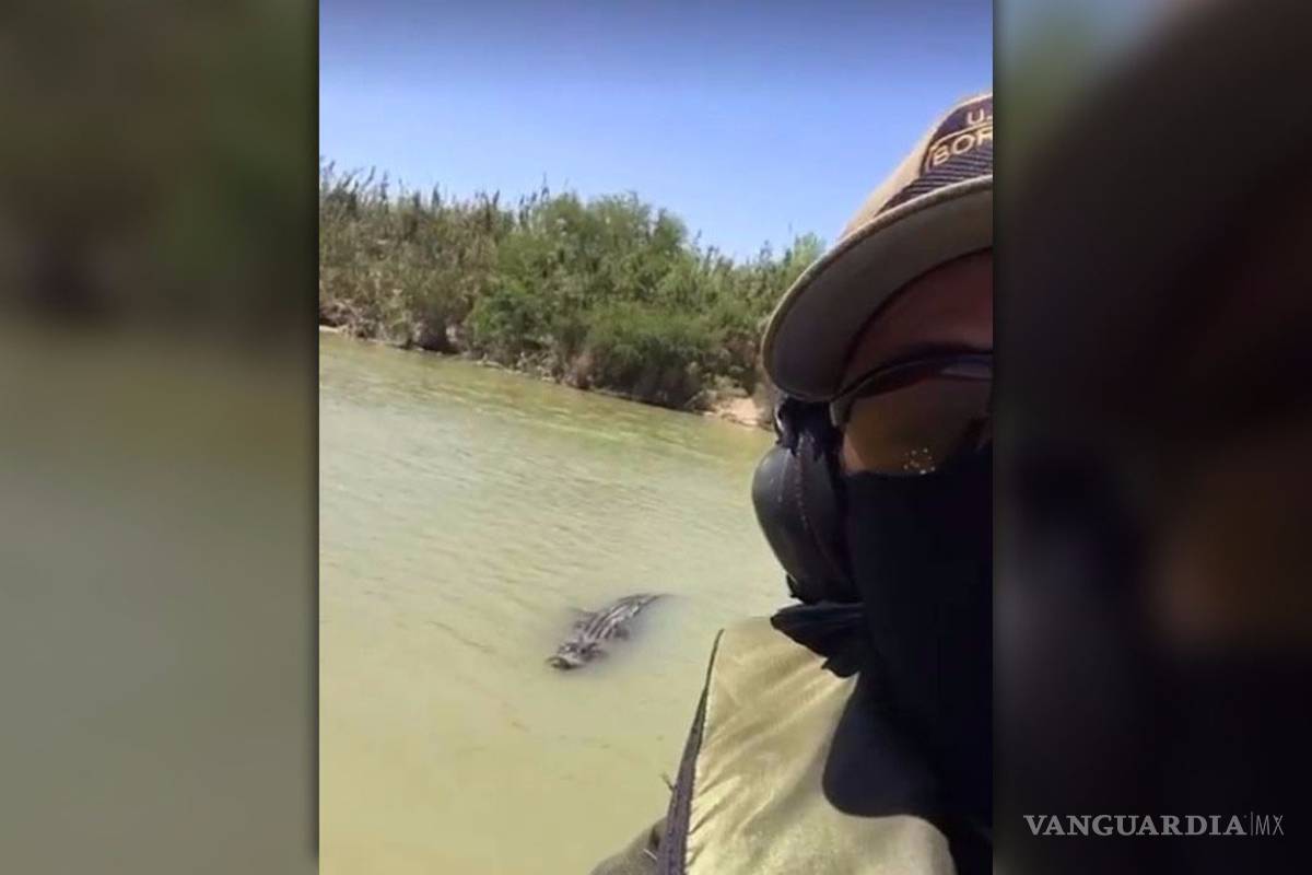 Desde hace 25 años hay cocodrilos en el río Bravo