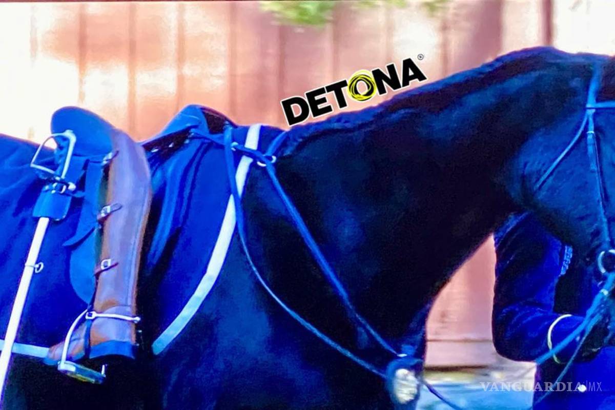 Es México, un país sin jinete