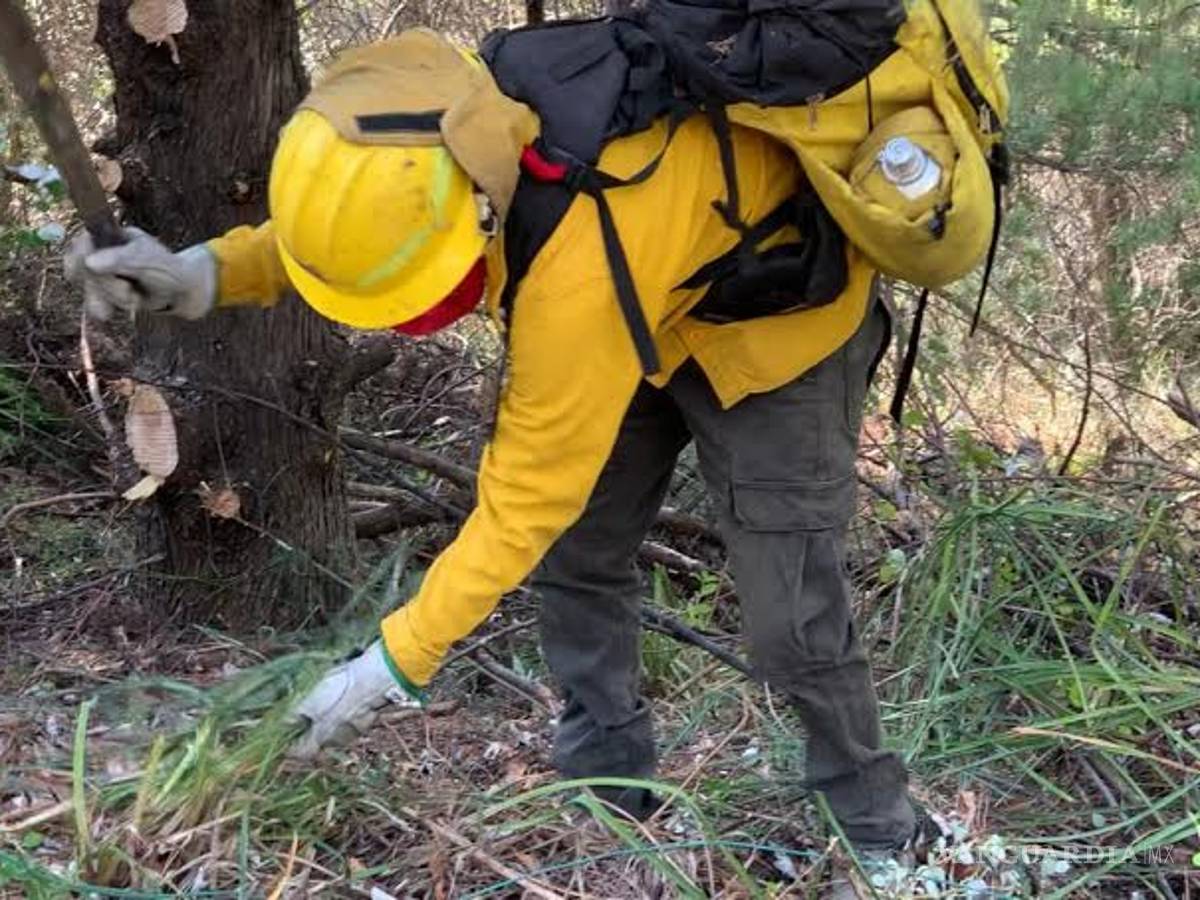 $!18 días después, al fin es controlado al 100% incendio de la Pinalosa