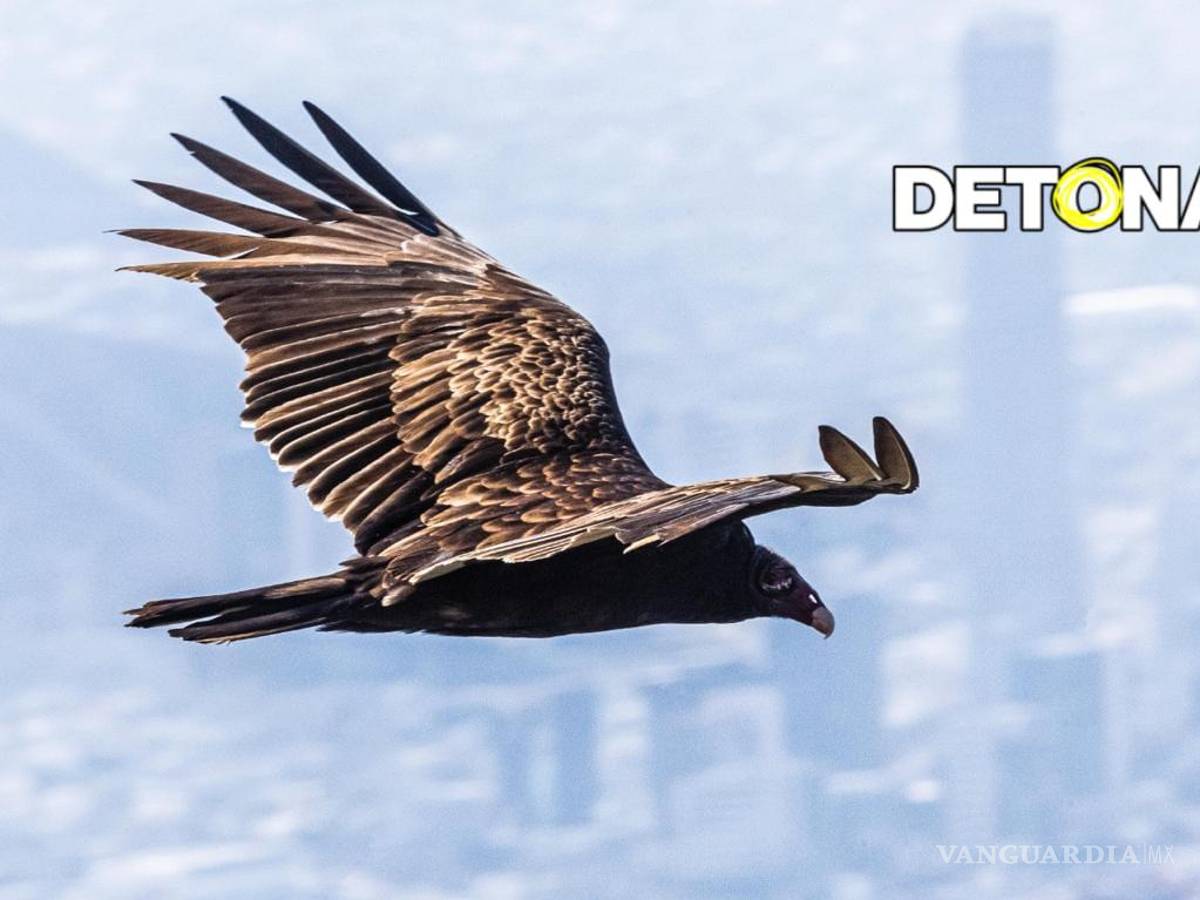 $!Esperando el Mundial FIFA 2026.