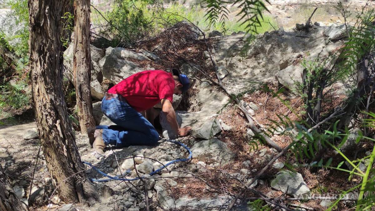 Rescatan a 18 cachorros en la sierra de Zapalinamé
