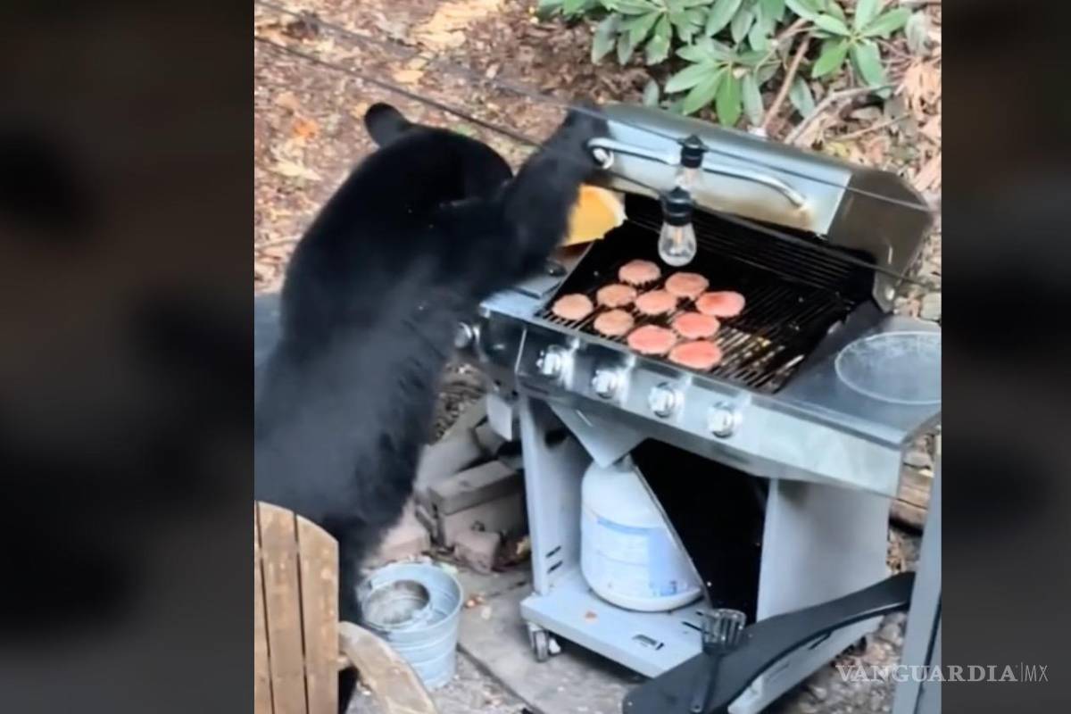 Video: Oso ‘asalta’ a familia en EU, se come 10 hamburguesas y refresco light