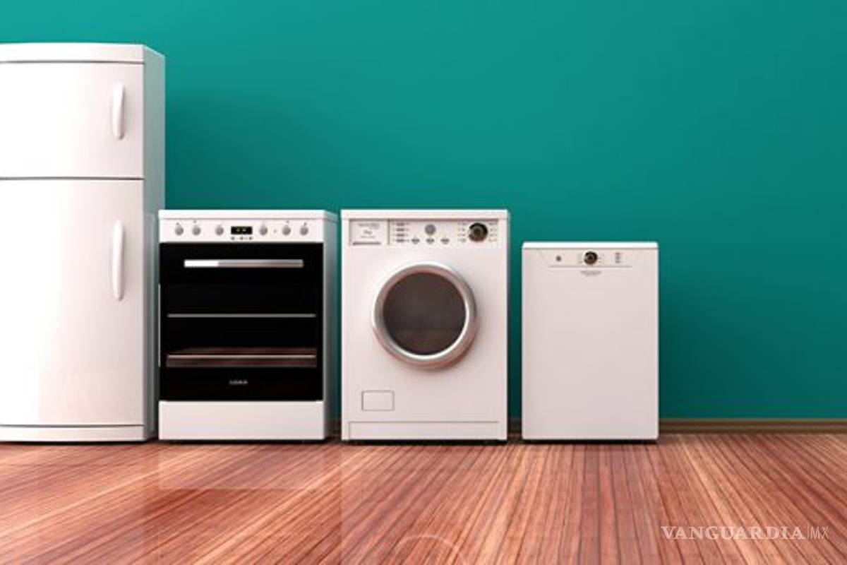Registran los electrodomésticos mayor alza en últimos 25 años