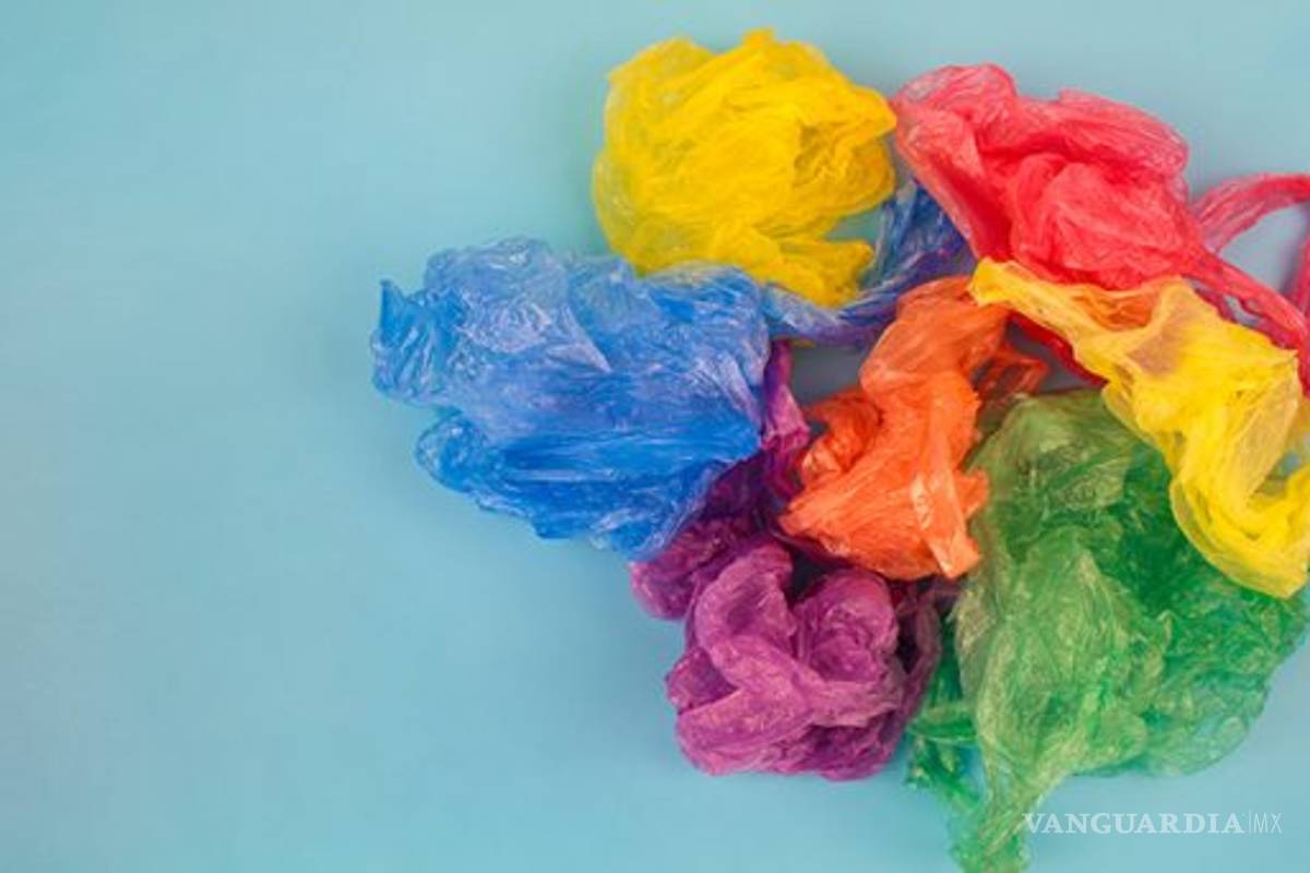 Bolsa de plástico, un mal necesario ante la pandemia por COVID-19