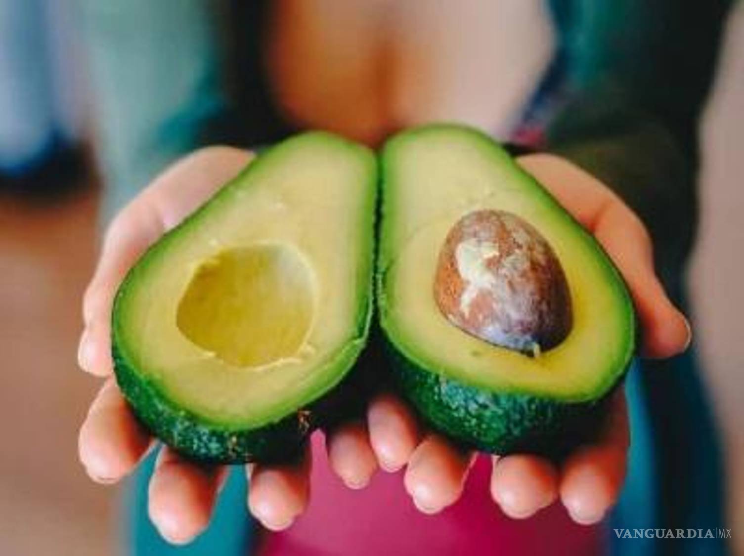 $!El proceso para que los aficionados del futbol americano en el país vecino tengan un aguacate perfecto sobre sus mesas, lleva años de preparación.