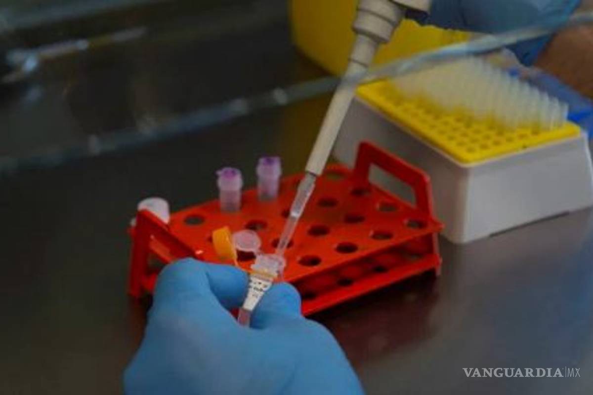 Estas son las medidas de prevención que hay que tomar por la llegada de coronavirus a México