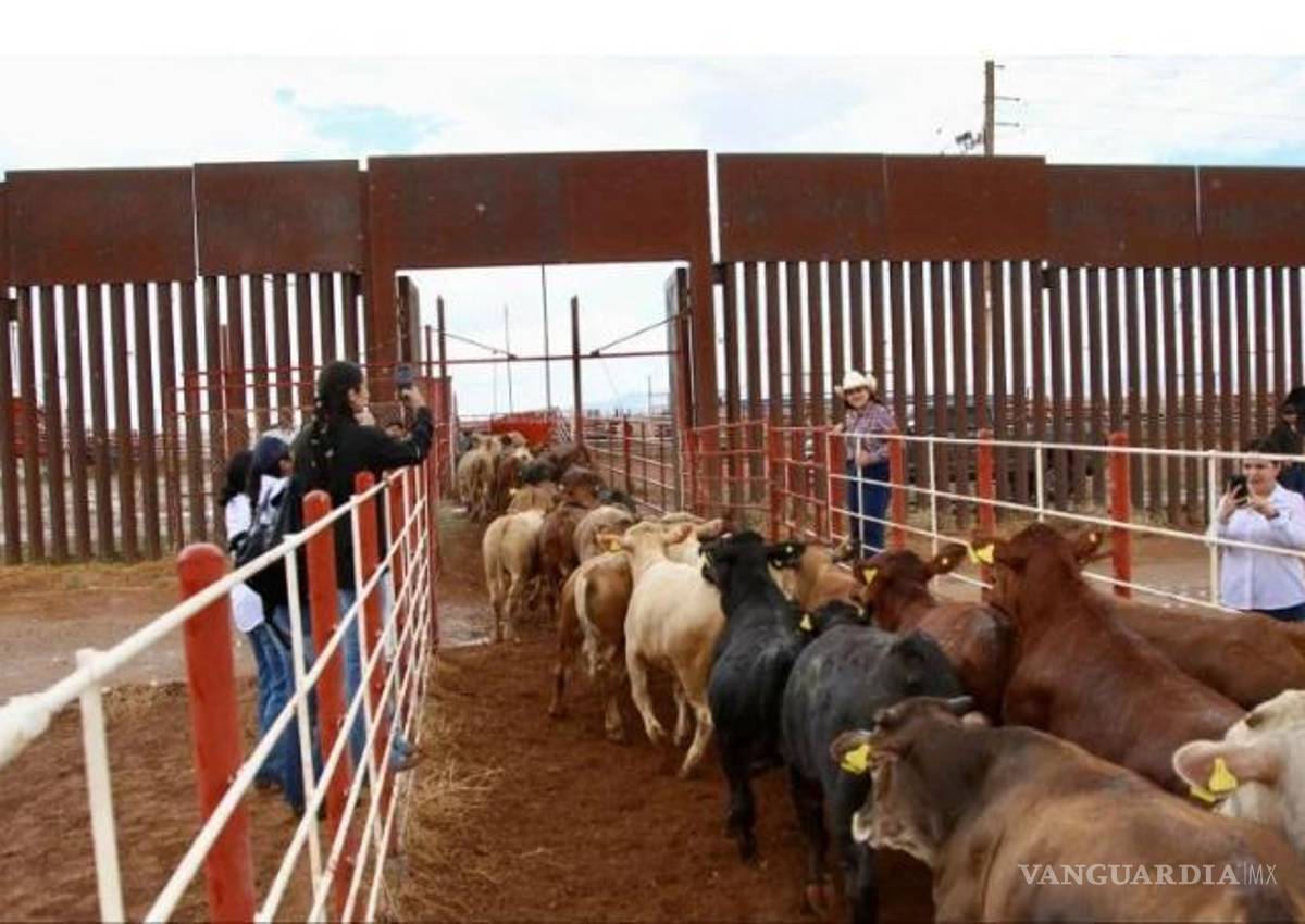 $!Unión Ganadera Regional de Coahuila reafirma su compromiso con la vigilancia sanitaria para proteger al sector.