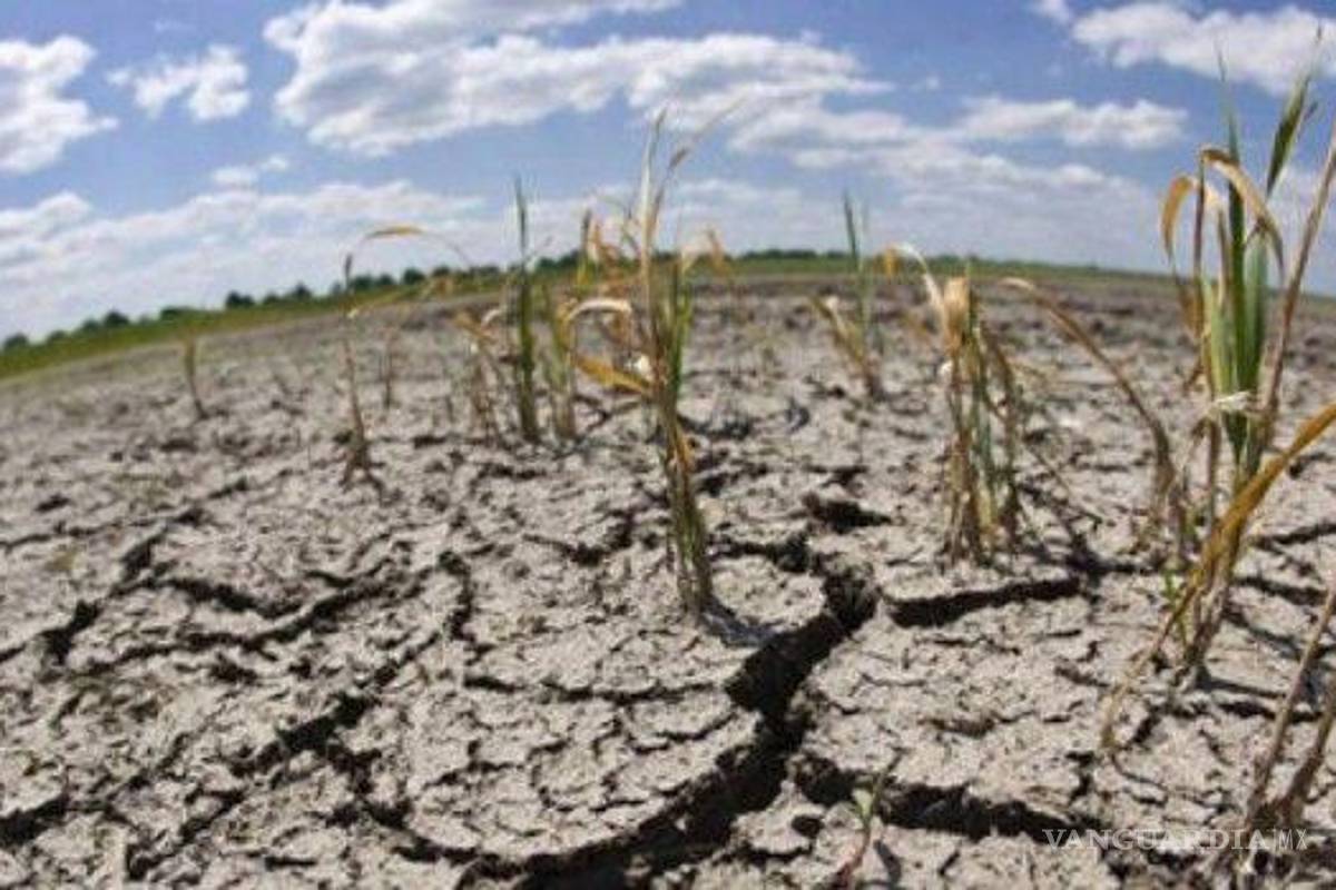 Declaran estado de emergencia en Perú tras sequía