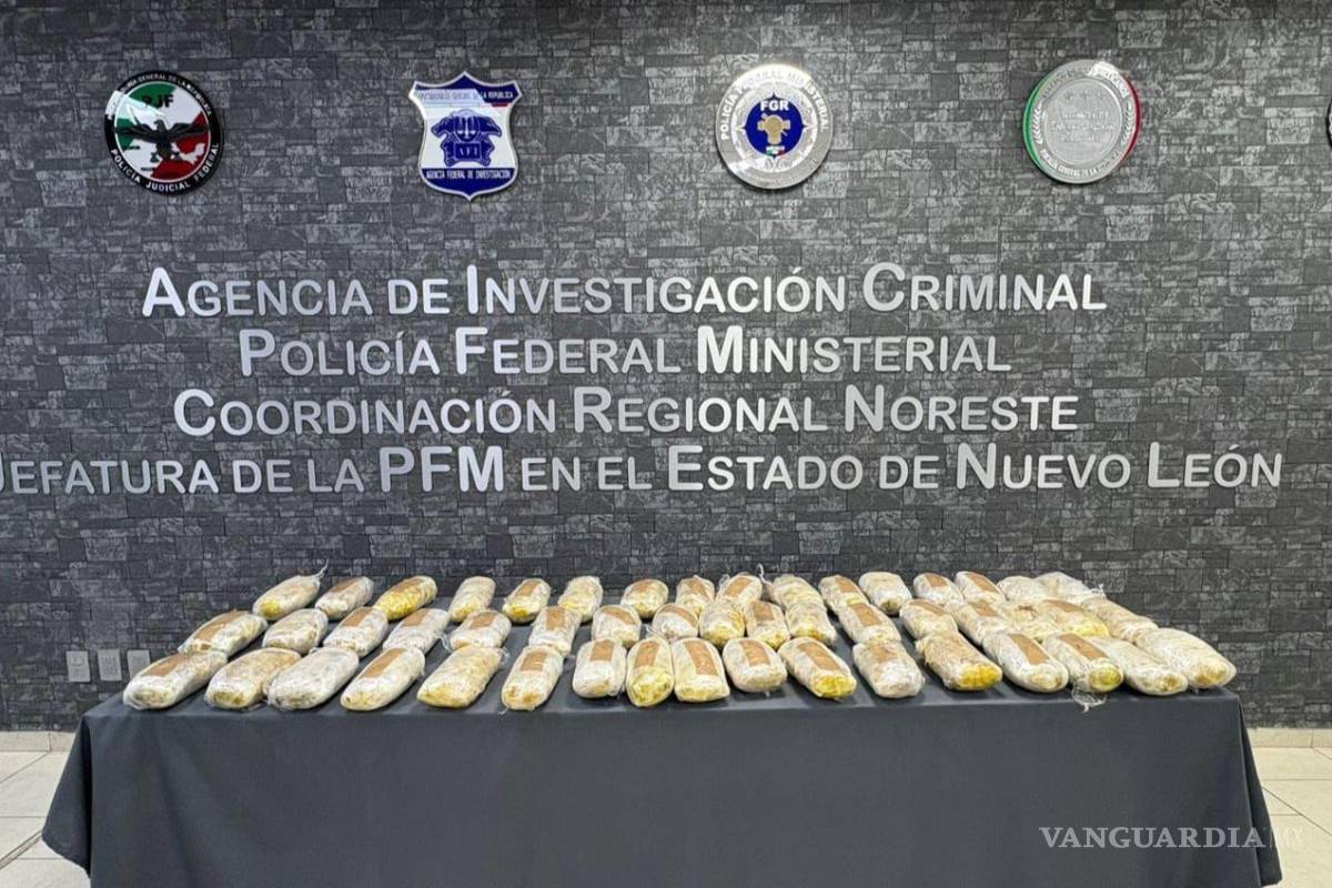 Cae hombre con cargamento de 50 kilos de droga oculto en camión, en Nuevo León