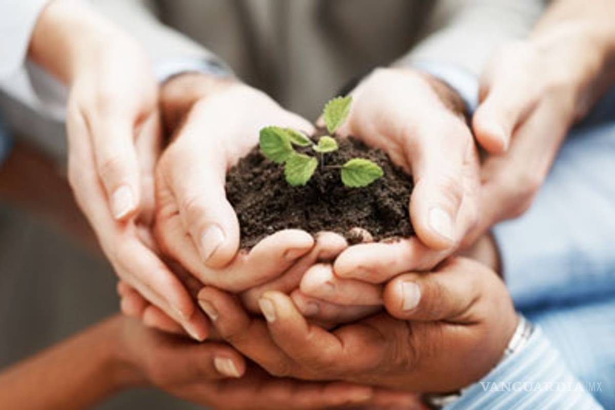 Desciende México en índice de desarrollo: ONU