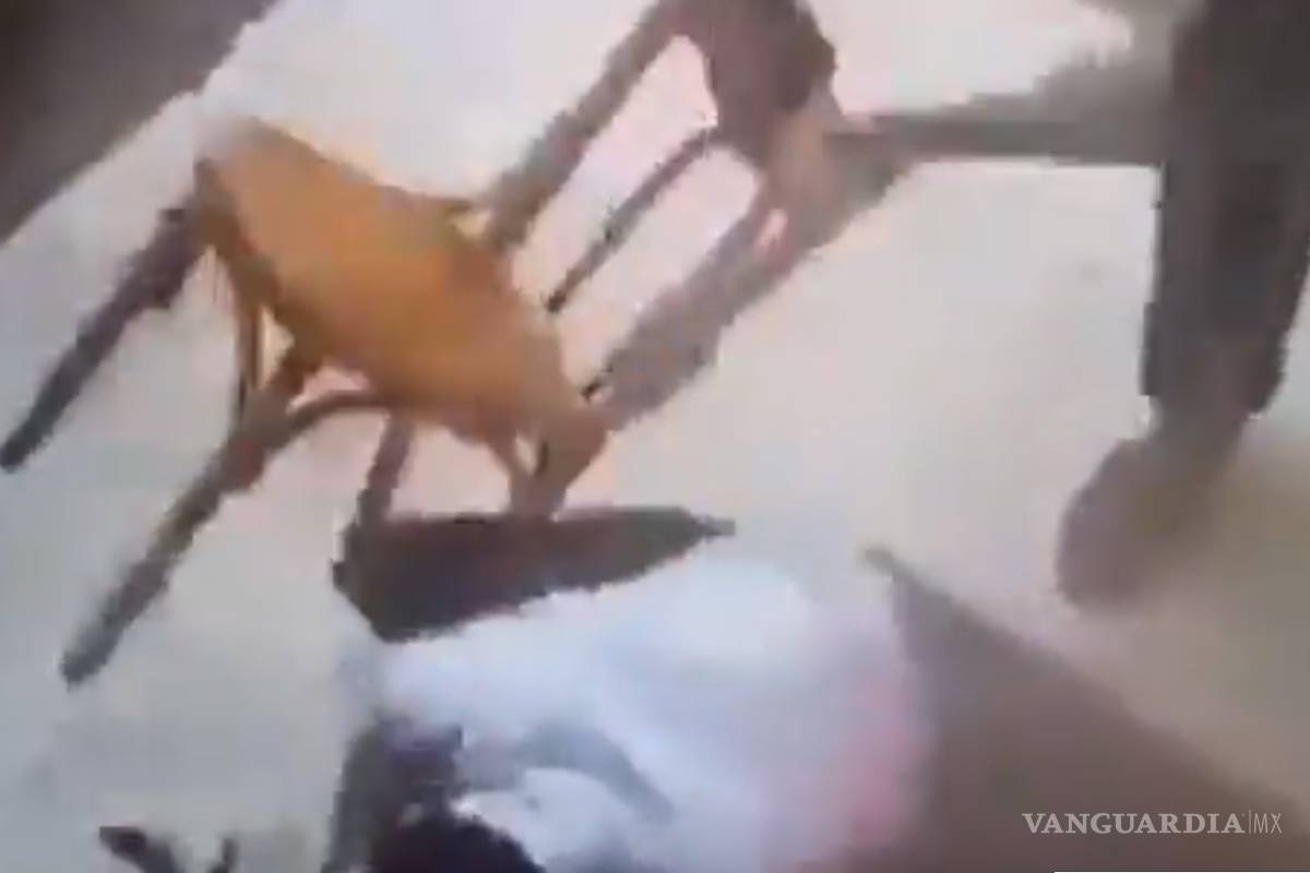 ¡No me ayudes, compadre! Reviven video del gato que ataca a hombre