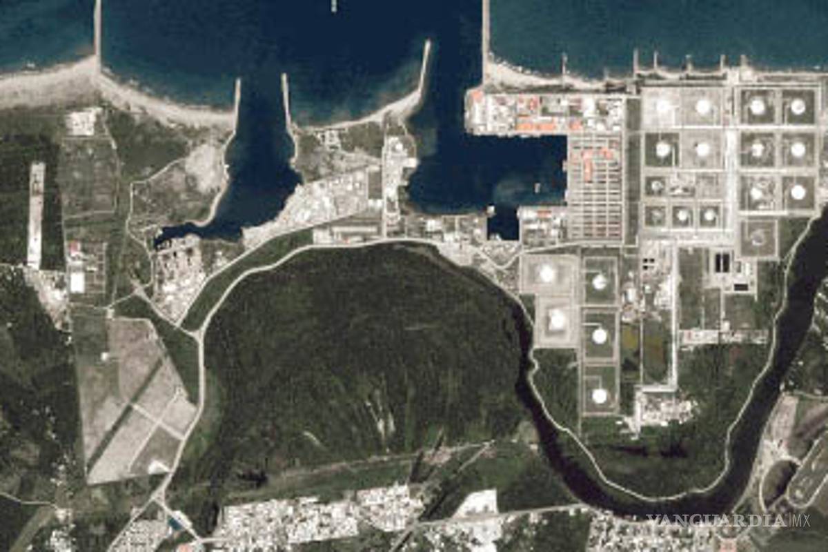 $!Exhibe portal web destrucción de manglares por refinería Dos Bocas, en Tabasco