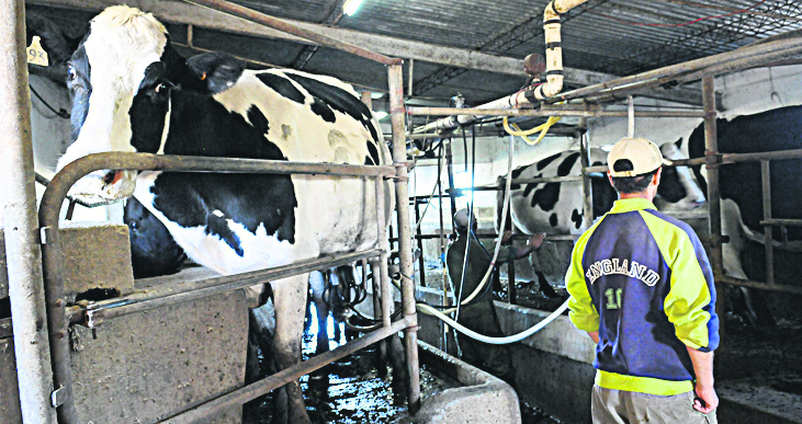 Sector lechero, en posición muy complicada en los últimos 25 años