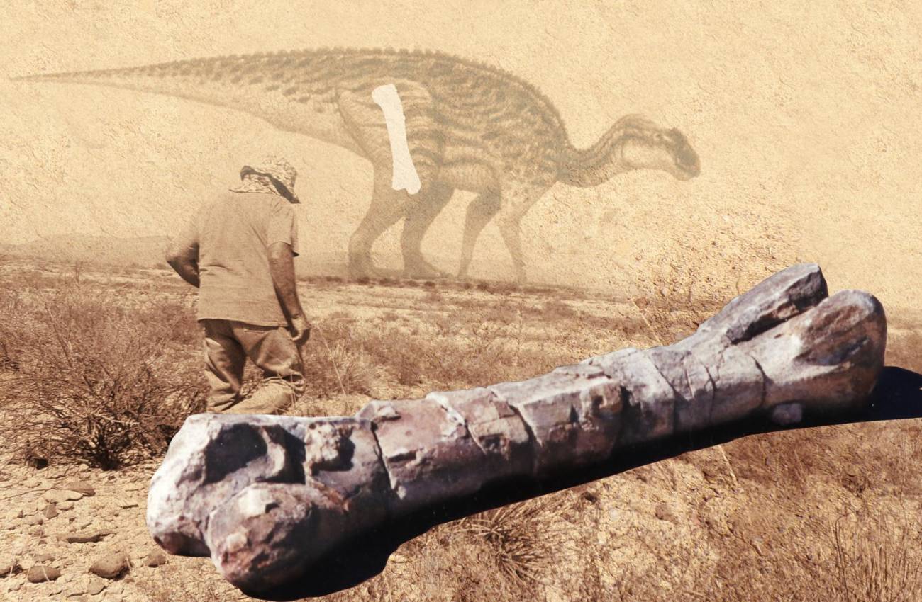 Carmino, el hombre que coleccionaba piedras raras y halló el fémur de un dinosaurio