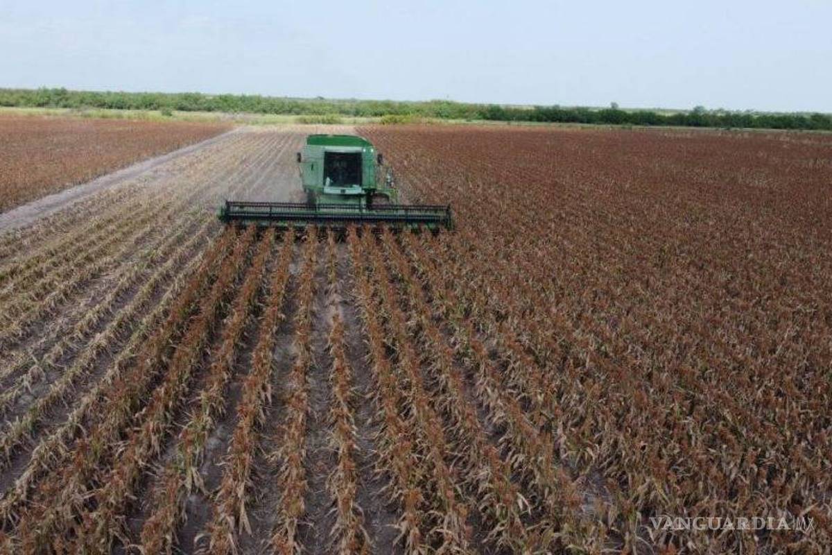 Desaparece Financiera Nacional de Desarrollo, publican decreto para extinguirla