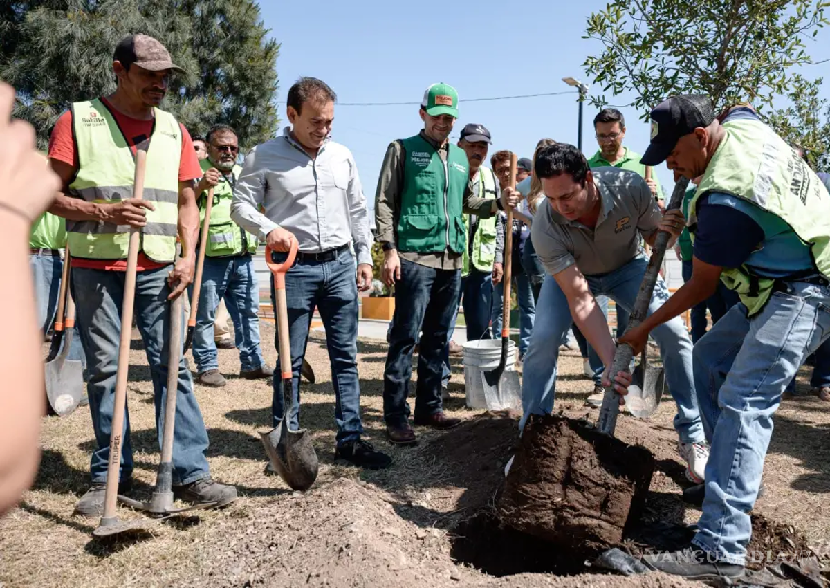 $!Las autoridades locales han impulsado la plantación de ejemplares; en el año suman alrededor de 8 mil.