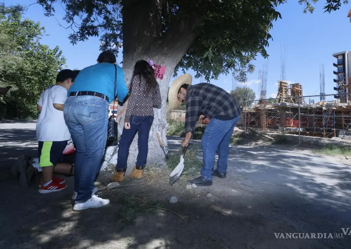 Saltillo: Asociación de Vecinas y Vecinos en Defensa del Nogal invita al segundo Nogal Fest
