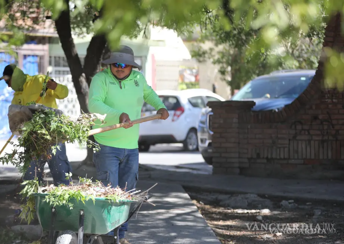 Saltillo refuerza limpieza urbana en colonias con atención integral a calles y terrenos baldíos