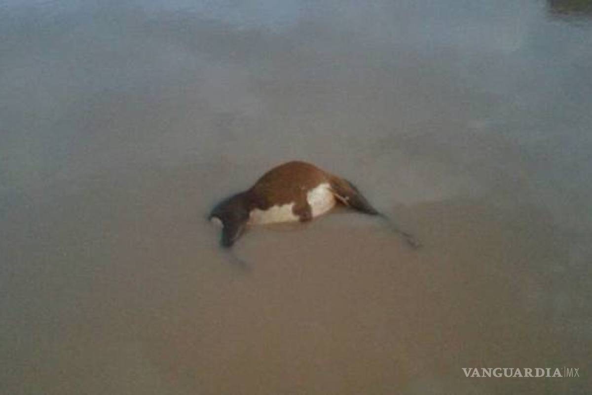 Solicitan atención por derrames de minera en Ocampo