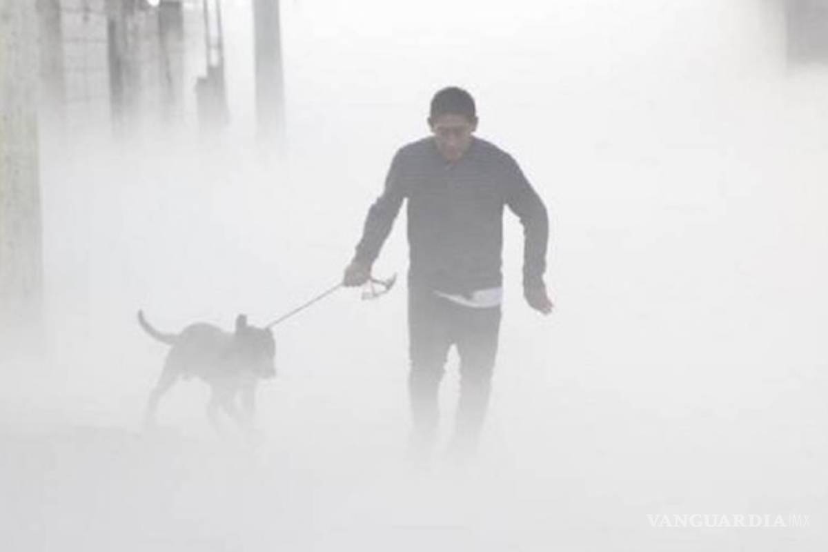 Fue desalojado por mortal fuga de gas en Puebla, pero regresó por su perro (video)