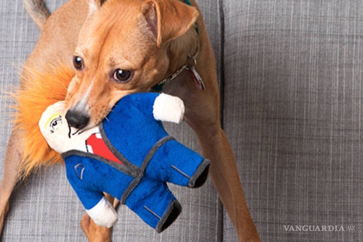 ¿Quieres una buena mascota para tu perro? Dognald Trump podría ser